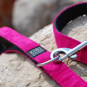 May include: A pink dog leash with a black and silver clasp. The leash has the words "Kiwi Dogs" printed on it.