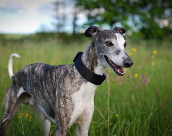 NOIR - Collier de chien à boucle en polyamide du vendredi soir avec quincaillerie en plastique YKK