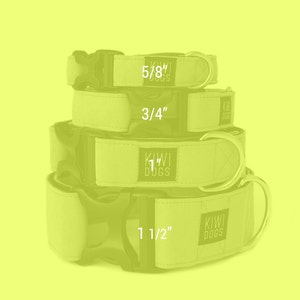 May include: Four different sizes of green dog collars stacked on top of each other. The collars are made of a soft, durable fabric and have a metal buckle. The sizes are 5/8", 3/4", 1", and 1 1/2".