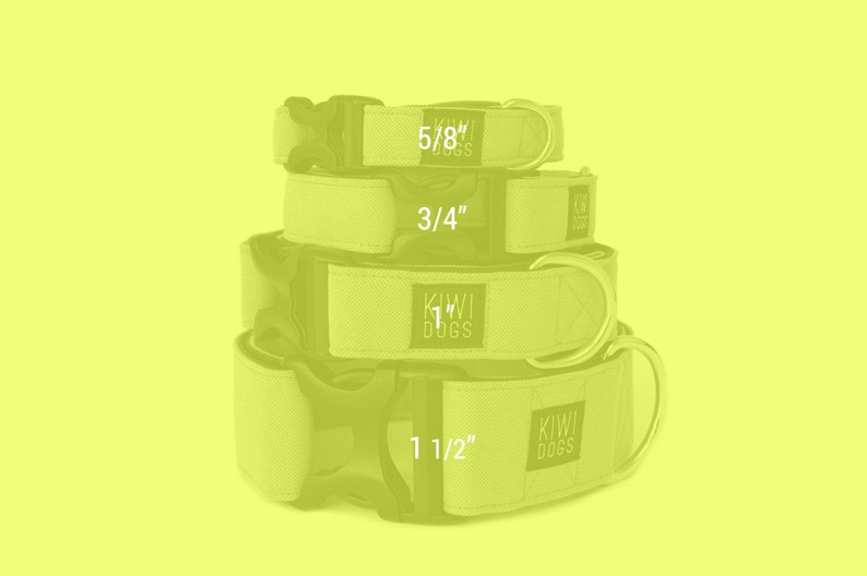 May include: Four different sizes of green dog collars stacked on top of each other. The collars are made of a soft, durable fabric and have a metal buckle. The sizes are 5/8", 3/4", 1", and 1 1/2".