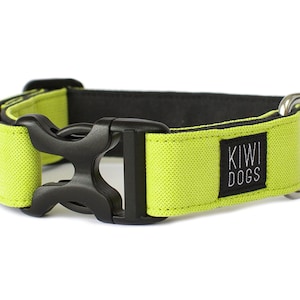 Puede incluir: Un collar para perro de color verde lima con una hebilla negra y un anillo en D plateado. El collar tiene un parche negro con el texto "KIWI DOGS" en blanco.