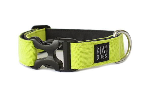 Green Sporty Dog Collar: Lightweight Adventure Collar with Plastic Buckle