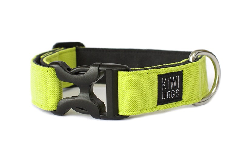 May include: A lime green dog collar with a black buckle and a silver D-ring. The collar has a black patch with the text "KIWI DOGS" in white.