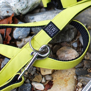 May include: A bright yellow dog leash with black trim and a silver clip. The leash has the words "KIWI DOGS" printed on it.