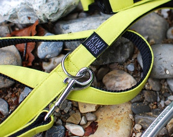 Green Sporty Dog Leash: Polyamide Webbing, Stainless Steel D-Ring