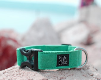Könnte beinhalten: Ein leuchtend grünes Hundehalsband mit einer schwarzen Kunststoffschnalle und einem silbernen Metall-D-Ring. Das Halsband hat ein schwarzes Etikett mit dem weißen Text "KIWI DOGS". Der Hintergrund ist verschwommen und zeigt Felsen und Wasser.
