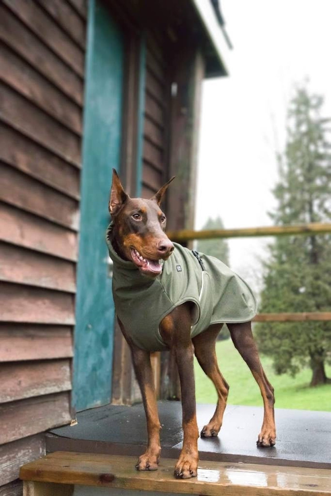 Custom Made DOG Coats for All Breeds Dog Waterproof & Windproof Winter