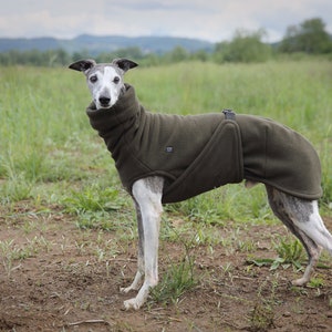Pode incluir: Um cão branco e cinza vestindo um casaco de lã verde em pé em um campo de grama verde.