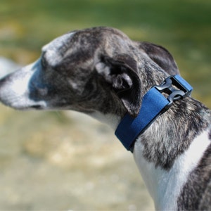 Skipper ADVENTURE Collar de perro de hebilla ligera azul collar de perro ligero deportivo azul con harware de plástico imagen 2