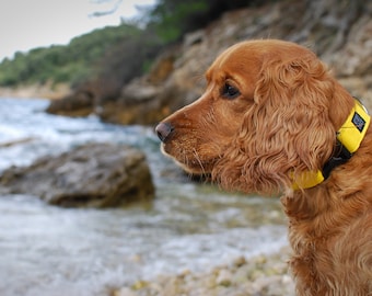 dog collar - YELLOW buckle dog collar - minimalistic, durable, lightweight dog collar with YKK plastic hardware