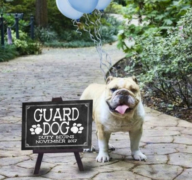 Custom 'GUARD DOG DUTY Begins' Due Date Printable 8x10 Etsy Australia