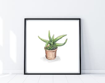 Cactus // Square Giclee Art Print *Limited Edition* Illustration Drawing Sketch * Framed