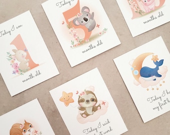 Cartões de marcos para bebês da Woodland Animals: presente de lembrança unissex