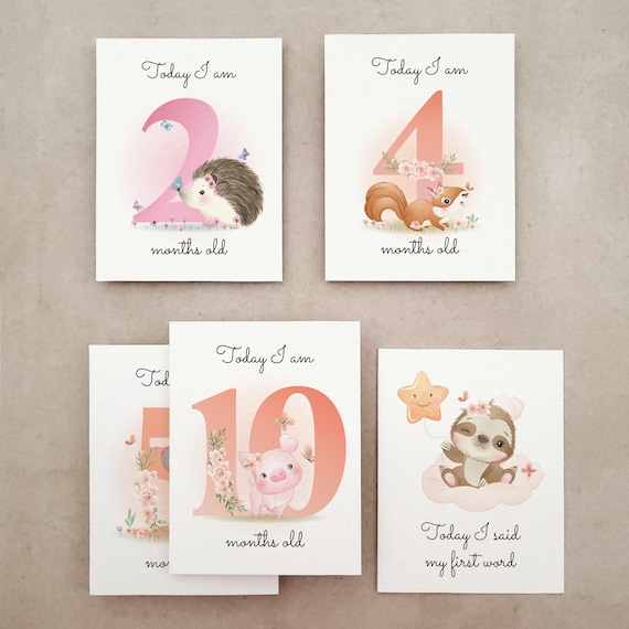Baby Shower Newborn Keepsake Wooden Monthly Photo Prop Set, Rustic Gift ...
