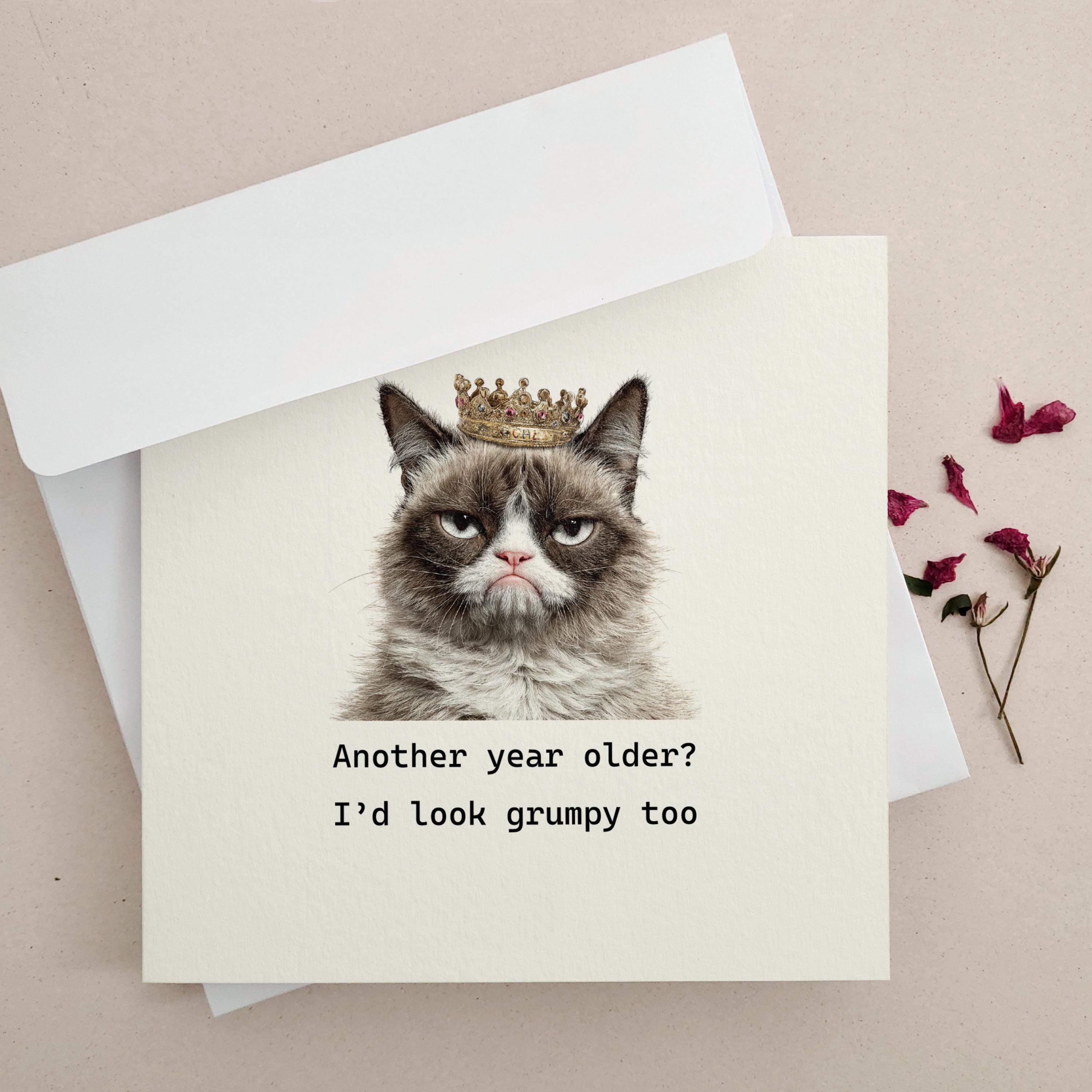 Cat Birthday Card for Cat Lovers - Funny Grumpy Cat, Another Year Older ...