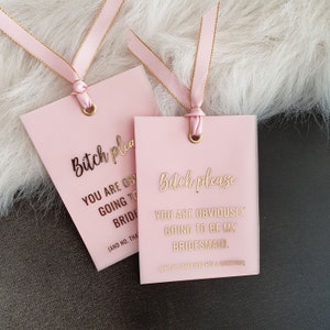 Funny Bitch Please Bridesmaid Card, Vellum Foiled Bridesmaid Proposal, Gold Will You Be My Bridesmaid, Rose Gold Bridesmaid Gift, Silver