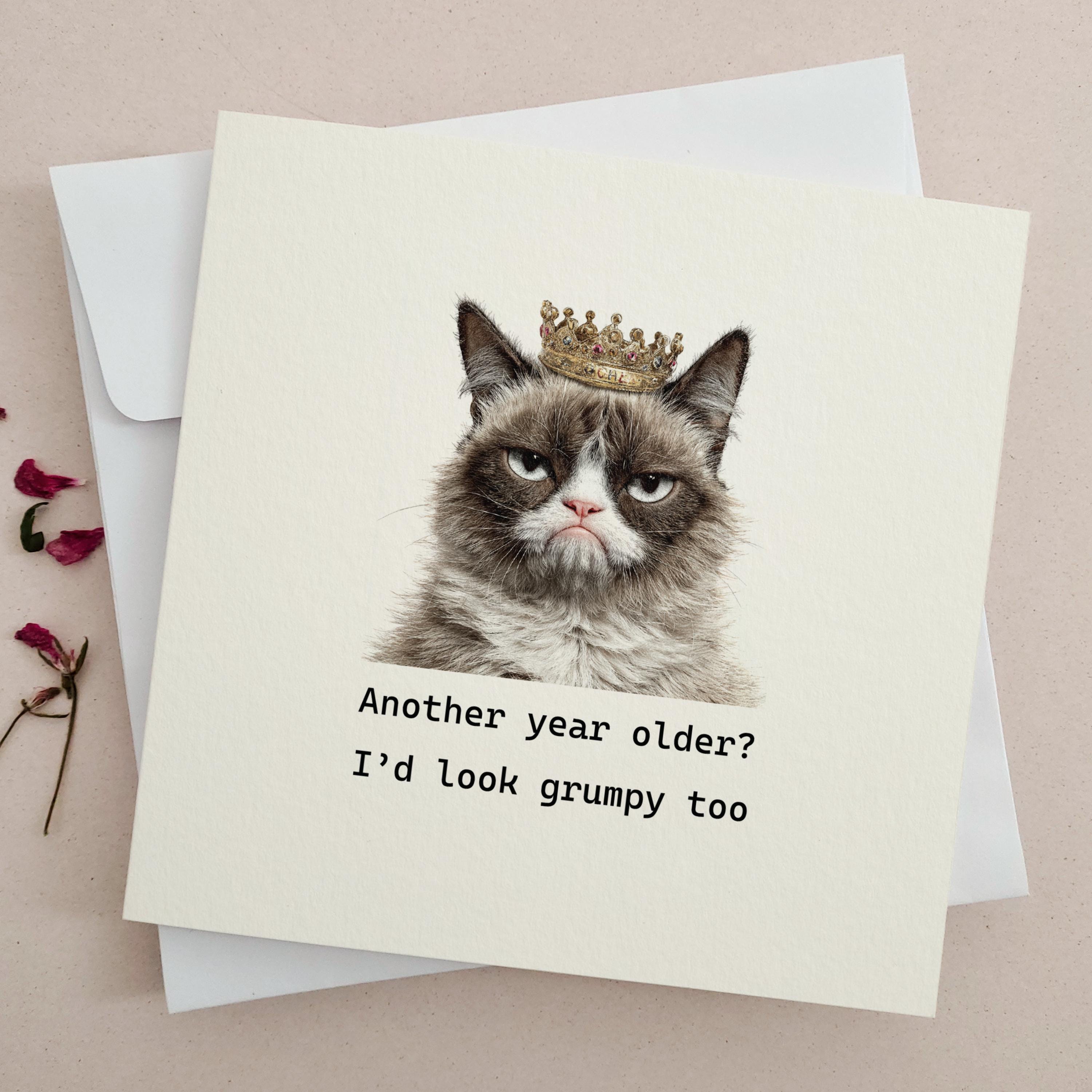 Cat Birthday Card for Cat Lovers - Funny Grumpy Cat, Another Year Older ...