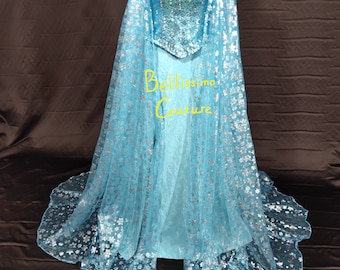 High quality Snow Queen Princess Frozen Queen Elsa Costume adult SIZE 6,8,10,12,14,16 Elsa dress