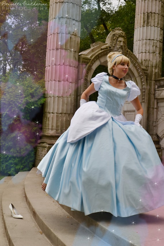 cinderella dress adult