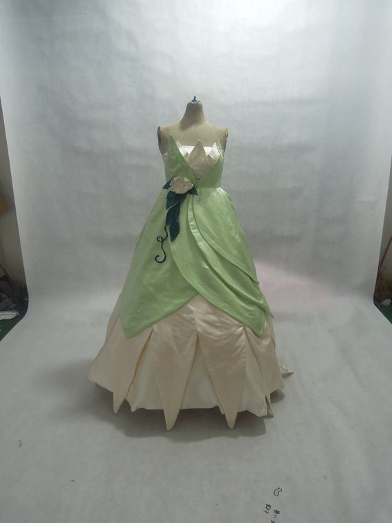 Princess tiana costume adults cheap