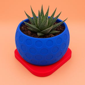 Könnte beinhalten: Eine kleine Sukkulentenpflanze in einem blauen, kugelförmigen Topf mit Punktmuster, die auf einer roten quadratischen Basis steht. Die Sukkulente hat grüne Blätter mit weißen Streifen. Der Hintergrund ist einfarbig pfirsichfarben.
