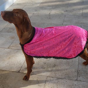 Dog Cape - "ANNE BOLEYN"