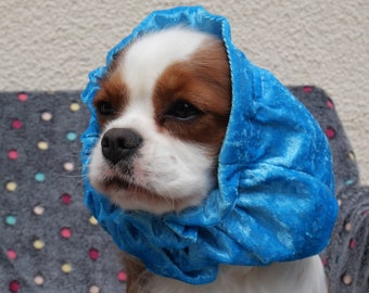 Dog Snood - "ROYAL BLUE"