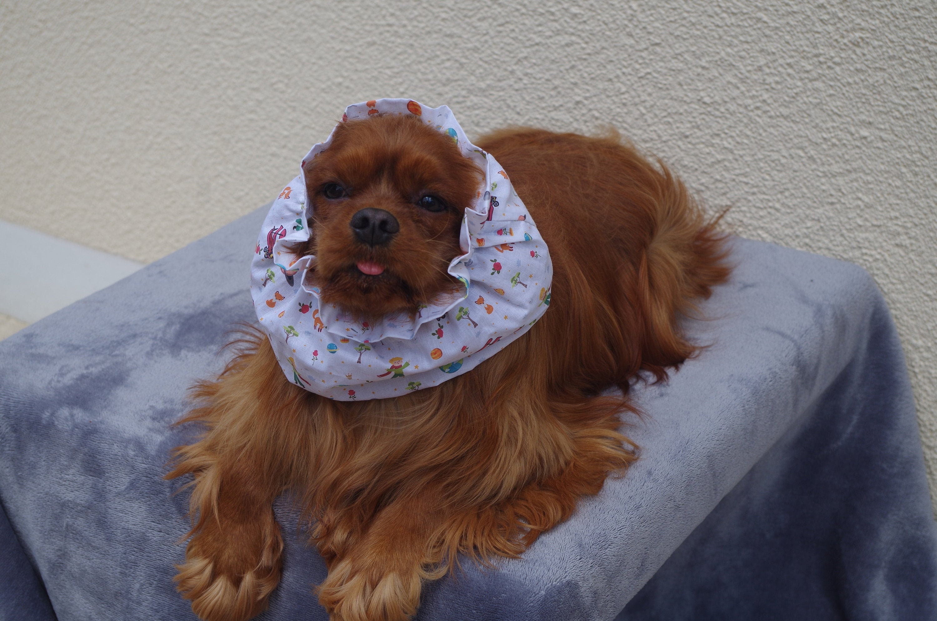Snood Chien - Le Petit Prince