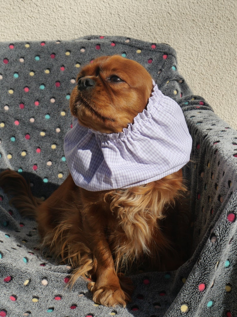 Snood Dog LAVENDER image 1