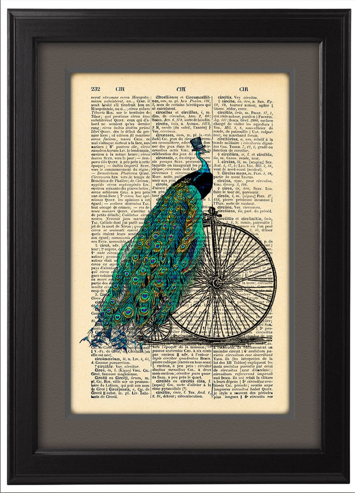 Peacock Art print Peacock with bicycle Vintage book page | Etsy