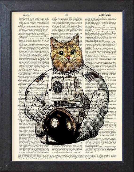 cat astronaut suit