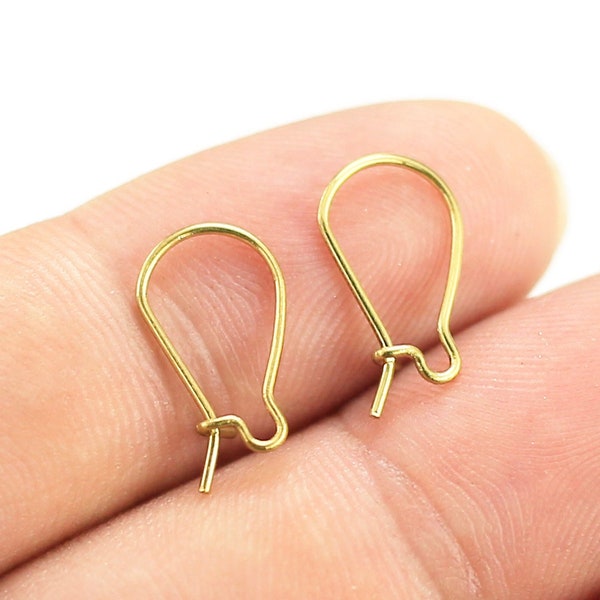 Brass earring wires, Brass earring hooks, 15.5mm 16mm 18mm 20mm, Kidney shaped, Raw brass ear wires, Jewelry making - R884 R1861 R1903 R1914