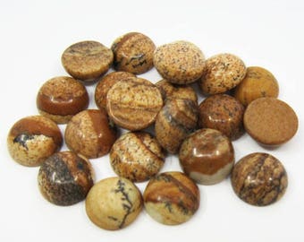 10pcs Picture stone cabochon, Round flat back, natural stone cabochon, Jewelry making, 6mm 8mm 10mm 12mm