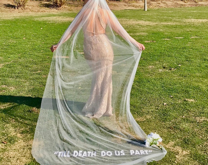 Ivory Cathedral Veil / Till Death Do Us Part / Hailey Bieber Inspired