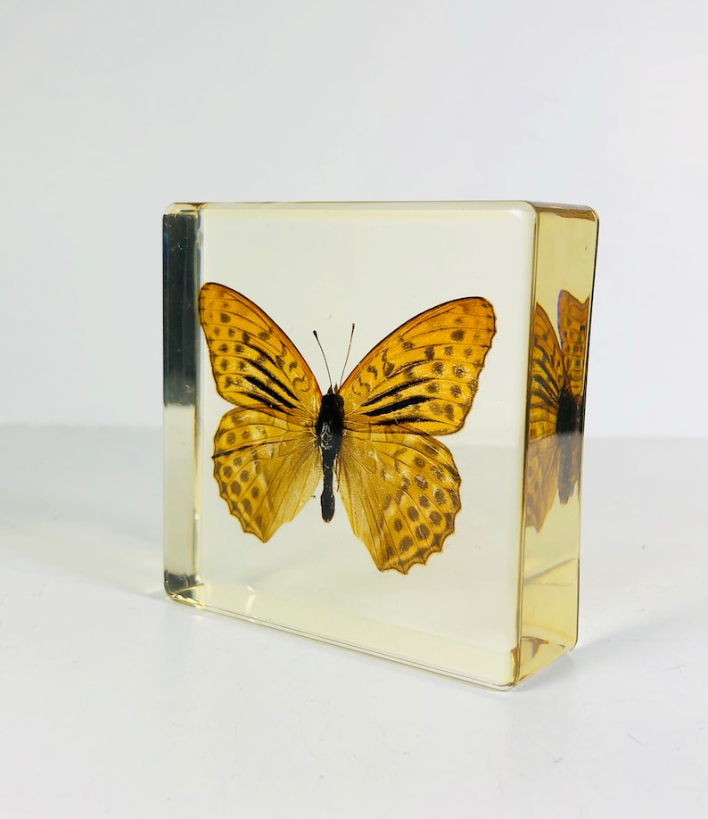 Image result for butterfly clear cast resin