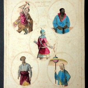 Stampa litografica americana del 1835 &quot;Le cinque varietà della razza umana&quot; di Bradford