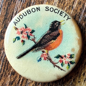 1920s Pinback Button, Audubon Society, Bird, American Robin in Tree