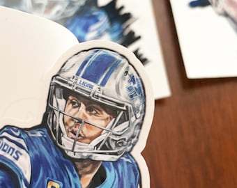 3 stuks Detroit Lions-stickers