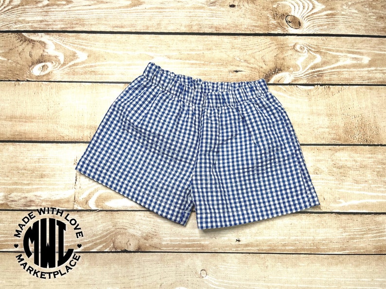 May include: Blue and white gingham shorts with an elastic waistband.