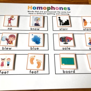 Può includere: Un grafico educativo colorato con immagini e parole che illustrano gli omofoni. Il grafico presenta coppie di parole che suonano allo stesso modo ma hanno ortografie e significati diversi, come "no" e "know", "stair" e "stare", "blew" e "blue", "sale" e "sail", "feet" e "feat", e "board" e "bored".