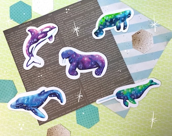 Galaxy Space Whale Vinyl stickers - illustrated whales