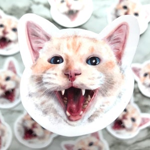 Ham Cat Illustrated vinyl sticker