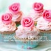 50 Lightroom Presets Workflow