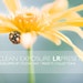 5 Clean Exposure Presets Lightroom