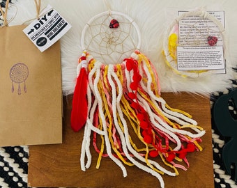 DIY Dreamcatcher, Web is woven for you, Comes with Instructions and Materials, You Choose Pompom Color