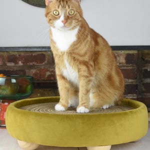 Handcrafted Cat Scratcher Bed: Vintage Gold Velvet, Replaceable Cardboard