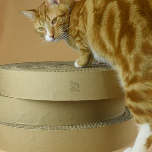 May include: A ginger tabby cat standing on a stack of three cardboard cat scratchers. The scratchers are made of corrugated cardboard and have a brown color. The cat is looking to the left of the image. The scratchers have the text "catnip workshop" printed on them.