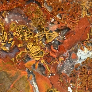 Könnte beinhalten: Nahaufnahme einer Natursteinoberfläche mit komplexem Muster. Der Stein weist eine Mischung aus Farben auf, darunter Rot-, Orange-, Gelb- und Weißtöne. Die Textur ist komplex, mit verschiedenen Formen und Mustern.