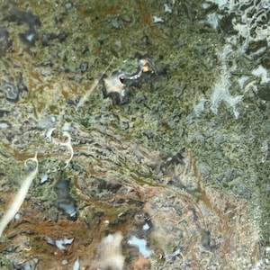May include: Abstract close-up of a natural stone surface. The stone features a mix of green, brown, and white colors with a textured appearance. The pattern resembles a landscape with organic shapes and swirls.
