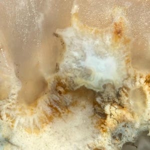 Graveyard Point Plume Agat - Grov sten Slabette Set - Spöklik sten